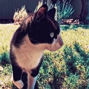 Meet your Posher, Sydney